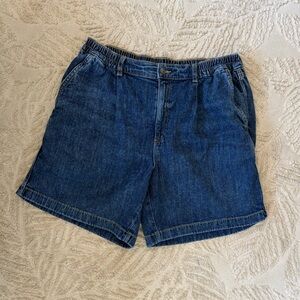 Aerie dark wash denim shorts / jorts size